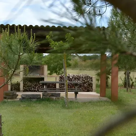 Belle Vue Sur L Herault Et Les Bateaux Agde
