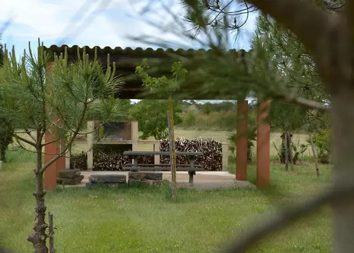 Belle Vue Sur L Herault Et Les Bateaux Agde