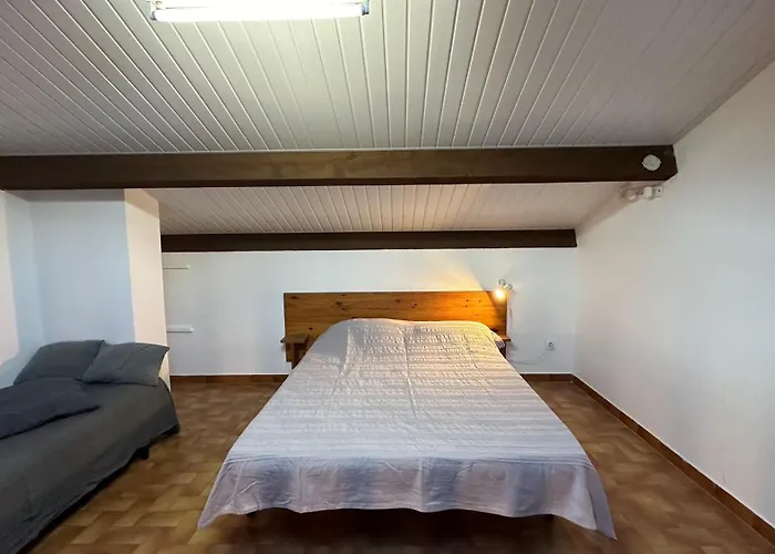 Belle Vue Sur L Herault Et Les Bateaux Agde