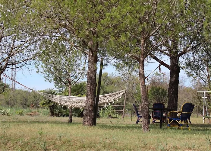 Belle Vue Sur L Herault Et Les Bateaux Apartment *